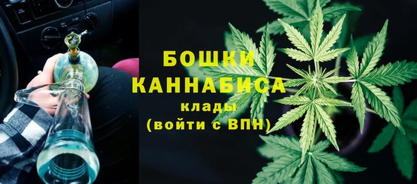 шишки Ростов